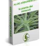 ebook aloe arborescens la pianta dei miracoli