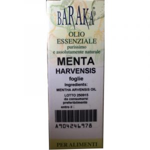 Olio Essenziale Menta Harvensis