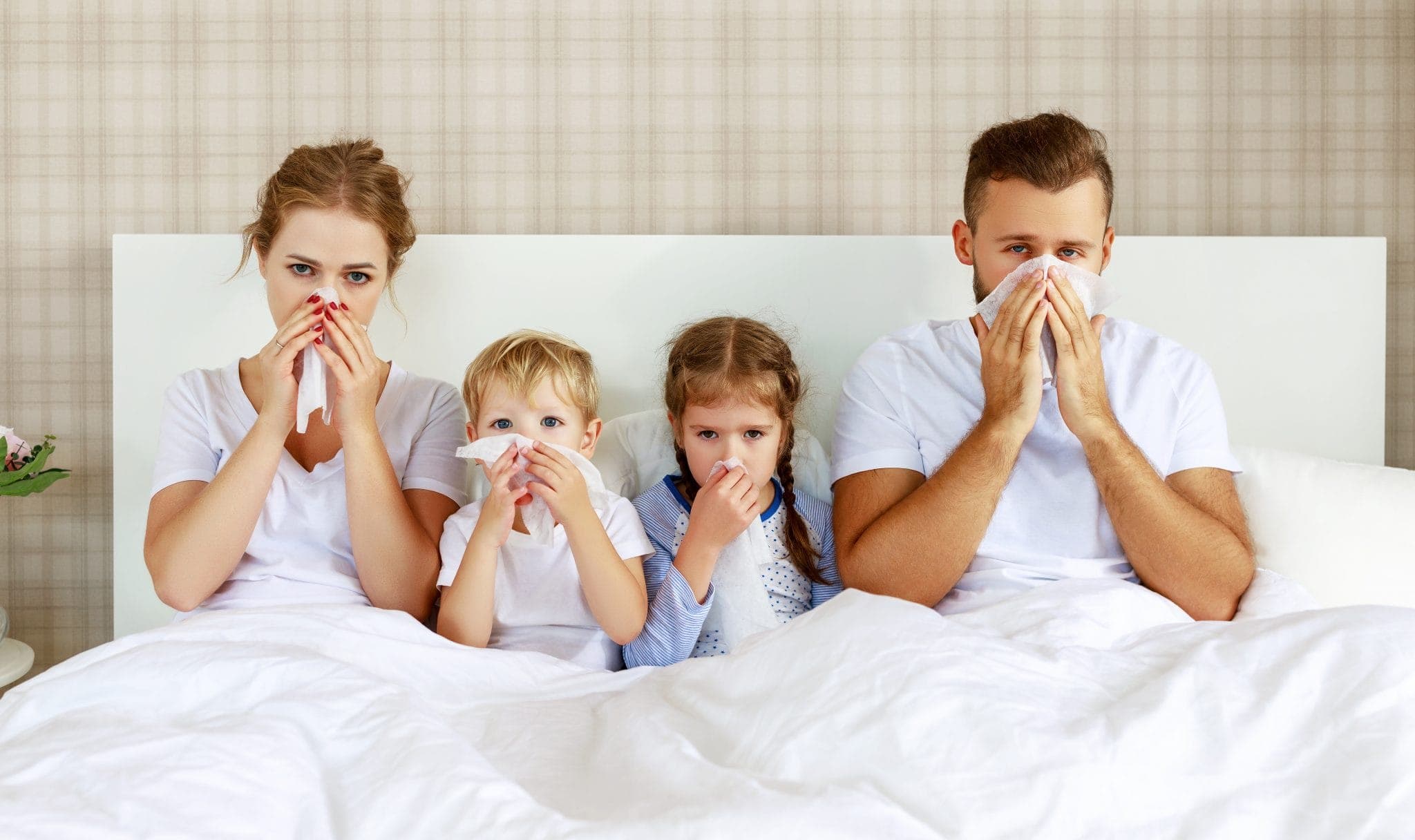 Tosse E Raffreddore: Rimedi Naturali Per I Sintomi Dell'influenza ...